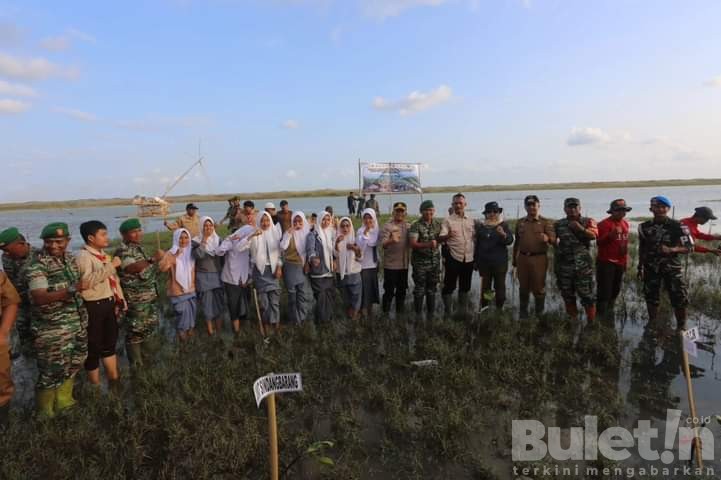 Puncak Penanaman Mangrove Nasional Secara Serentak Di Wilayah Kodim