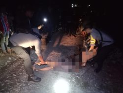 Gegara Permasalahan Batas Tanah, Seorang Petani di Tanah Pinem Tewas Ditikam Tetangganya