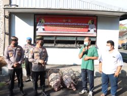 Bagikan Daging Gratis Jelang Hari Raya Galungan, Secara Simbolis Kapolresta Denpasar Serahkan Dua Ekor Babi