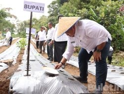 Bupati Kenalkan Konsep Pertanian Terintegrasi untuk Meningkatkan Kesejahteraan Petani Tapsel