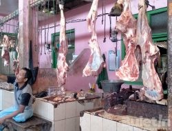 Dampak PMK Penjual Daging Sapi Menjerit