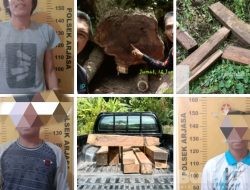 Tiga Orang Terduga Pelaku Ilegal Logging Terjaring Patroli Rutin Petugas Perhutani