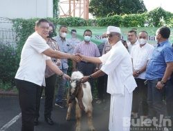 Polresta Denpasar Qurban 5 Ekor Sapi Dan 11 Ekor Kambing