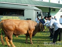 Peringatan Hari Raya Idul Adha Divif 2 Kostrad
