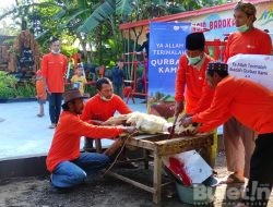 Unik..! Pelaksanaan Qurban di Taman Lansia Barokah Wonosari Bondowoso