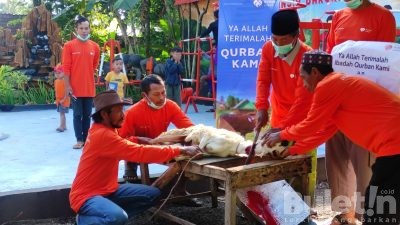 Unik..! Pelaksanaan Qurban di Taman Lansia Barokah Wonosari Bondowoso