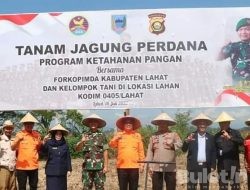 Dalam Rangka Program Ketahanan Pangan Bupati Lahat bersama Dandim 0405 Tanam Jagung Perdana