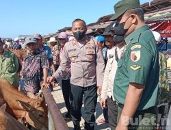 Cegah PMK Polres Sampang Bersama Pukeswan Periksa Hewan Ternak