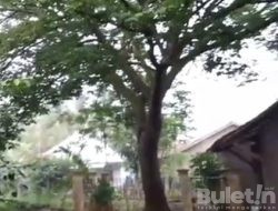 Pohon Saparantu, Tonggak Sejarah Berdirinya Kota Cianjur