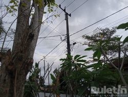 Mirip Saluran Tv Kabel Terbakar Disalah Satu Tiang PLN Desa Karangharjo
