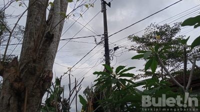 Mirip Saluran Tv Kabel Terbakar Disalah Satu Tiang PLN Desa Karangharjo
