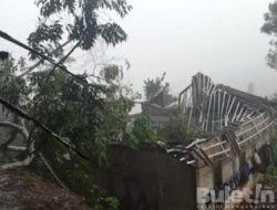 Pergerakan Tanah dan Tumbangnya Pohon Besar di Cianjur Menimpa Rumah Warga