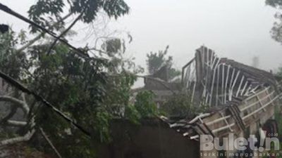 Pergerakan Tanah dan Tumbangnya Pohon Besar di Cianjur Menimpa Rumah Warga