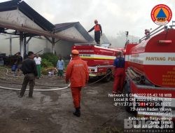 Api Melalap Pabrik Sekaligus Gudang Kayu