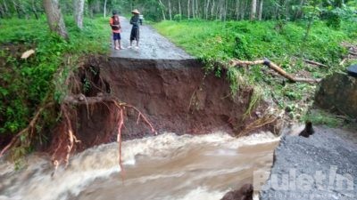 Akibat Curah Hujan Tinggi, Jembatan Milik PTPN XII Kalirejo Afdelling Banyuwangi Terseret Banjir