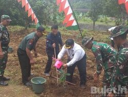 Dukung Penghijauan dan Peduli Lingkungan, Jajaran Kostrad Bersama KPH Bondowoso Laksanakan Penanaman Pohon