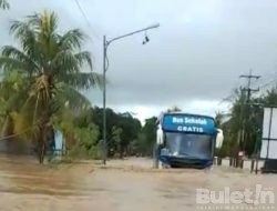 Akibat Curah Hujan Tinggi Desa Sumberagung Tergenang Air