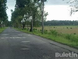 Bahaya.!! Jalan Gentan-Miritpetikusan Penuh Lobang, Pemkab Kebumen Siap Terjunkan Tim untuk Meninjau