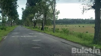Bahaya.!! Jalan Gentan-Miritpetikusan Penuh Lobang, Pemkab Kebumen Siap Terjunkan Tim untuk Meninjau