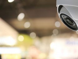 Terekam CCTV, Aksi Pencurian di Bondowoso Terungkap