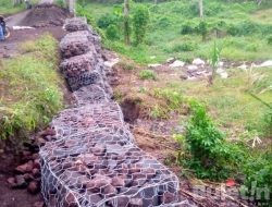 Kondisi Jalan Kebun Kalitelepak Banyuwangi Memprihatinkan