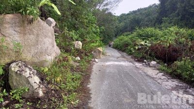 Longsor Bebatuan Yang Menimbun Ruas Jalan Menuju Desa Tajung Alai Butuh Perhatian Khusus Pemkab Kampar