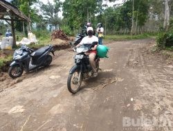 Pasca Banjir Perbaikan Jalan Penghubung di Dusun Jati Pasir menuju Kalibaru Terus Digeber.