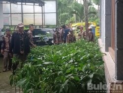 Pemdes Margomulyo Dapat Bantuan Bibit Pohon Alpukat Dari BRI dan Dinas Pertanian