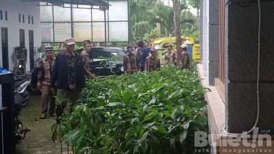 Pemdes Margomulyo Dapat Bantuan Bibit Pohon Alpukat Dari BRI dan Dinas Pertanian