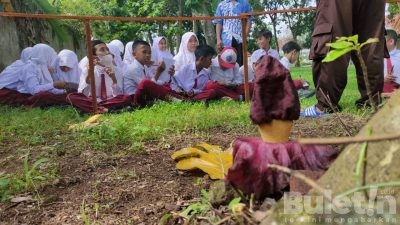 Puluhan Siswa SD Muhammadiyah 2 Pakis Pelajari Bunga Langka