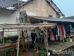 Hujan di Sertai Angin Kencang Terjang Desa Cluring Banyuwangi