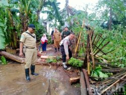 Angin Puting Beliung Terjang Desa Sumber Salak Bondowoso