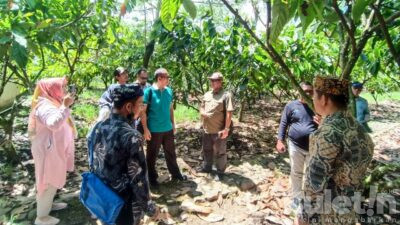 PTPN XII Kebun Kandang lembu Sambut Baik Kunjungan Forkopimda Kabupaten Berau di Doesoen Kakao