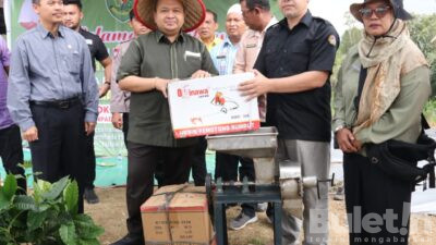 Bupati Tapsel Serahkan 10 Ribu Batang Bibit Cabai dan Bantuan Lainnya