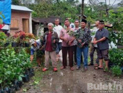 1000 Pohon Bibit Kopi Arabika Diserahkan Bupati Tapsel ke Petani