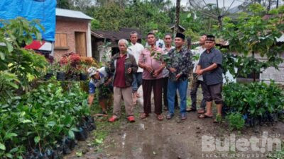 1000 Pohon Bibit Kopi Arabika Diserahkan Bupati Tapsel ke Petani