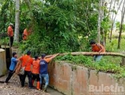 Pasca Banjir, Wali Kota Padang Sidempuan Titahkan BPBD Lakukan Survei
