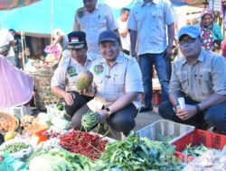 Mendadak Bupati Dolly Belanja di Poken Arba, Marancar Tapsel