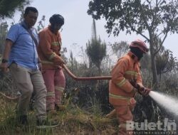 Diduga Buang Puntung Rokok Sembarangan, Lahan Perhutani di Cibeber Terbakar