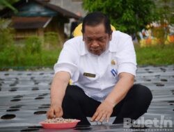 Wali Kota Padangsidimpuan Tanam Bawang Merah Perdana di Desa Sabungan Sipabangun