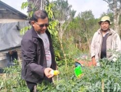 Wabup Rasyid Dorong Desa Lingkar Perkantoran Bupati Tapsel Optimalkan Lahan Pertanian
