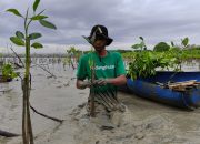 LindungiHutan dan Mitra Hijau Tanam 86.000++ Pohon dari Januari-Agustus 2023