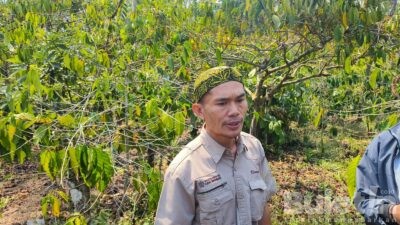 Ngetrip Sambil Belajar Perkopian, Ini Tempat Wisata di Bondowoso yang Wajib Dikunjungi