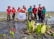 Hijaukan Teluk Benoa, Akulaku Group Tanam 1.001 Mangrove Gandeng LindungiHutan