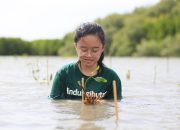 Kemitraan Terbuka untuk Brand dan Perusahaan Terlibat dalam Konservasi Lingkungan