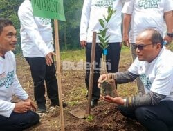 Dukung Penuh Penanaman 10 Juta Pohon, Pj Wali Kota Padangsidimpuan Harap Seluruh Pihak Ikut Andil