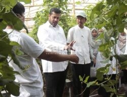 Perdana Panen Melon Hidroponik, Walikota Probolinggo Apresiasi Petani