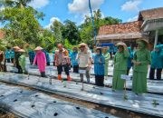 Antisipasi Harga Capai Melonjak, Tim Penggerak PKK Bondowoso Canangkan Program Gas Tancap