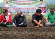 Pj. Wali Kota Letnan Dalimunthe Dukung Ketersediaan Bibit Bawang Merah di Kota Padangsidimpuan