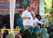 Bupati dan Ketua TP PKK Tapsel Lakukan Panen Perdana Bawang Merah Bersama Koptan Desa Simaninggir